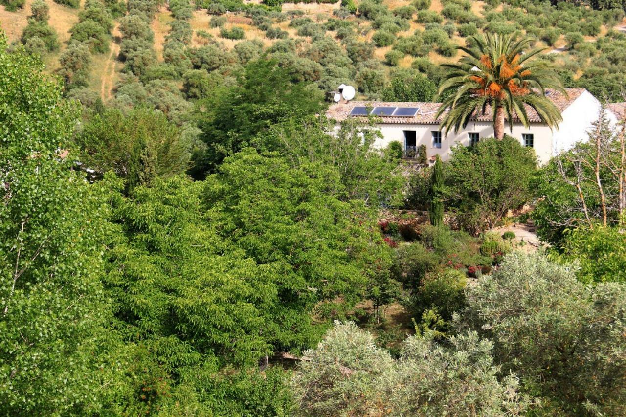 Beautiful Country House Near Ronda Arriate Esterno foto